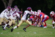 Enlarge photo 193