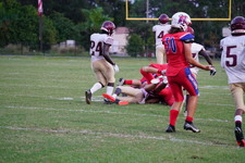 Enlarge photo 208