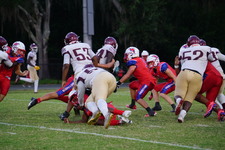 Enlarge photo 213