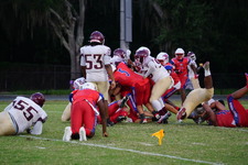 Enlarge photo 216