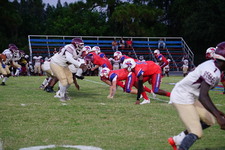 Enlarge photo 226