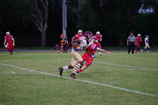 Enlarge photo 232