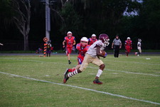 Enlarge photo 233