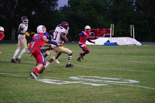 Enlarge photo 235
