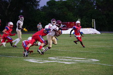 Enlarge photo 238