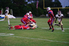 Enlarge photo 239