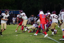 Enlarge photo 249