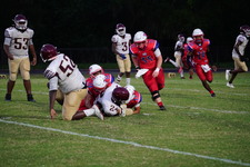 Enlarge photo 257