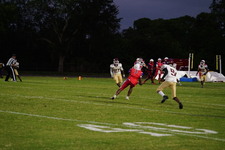 Enlarge photo 265