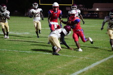 Enlarge photo 303