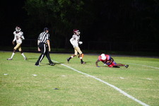 Enlarge photo 337