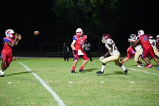 Enlarge photo 343
