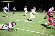 Enlarge photo 348
