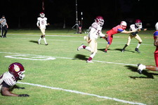 Enlarge photo 349