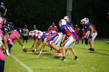 Enlarge photo 73
