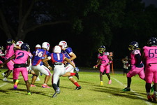 Enlarge photo 112