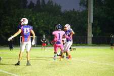 Enlarge photo 135