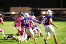 Enlarge photo 142