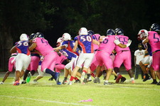 Enlarge photo 150