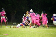 Enlarge photo 151