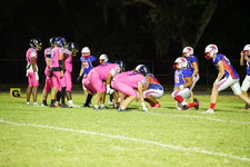 Enlarge photo 157