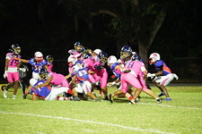 Enlarge photo 160