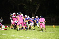 Enlarge photo 163
