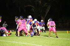 Enlarge photo 165