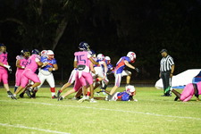 Enlarge photo 174