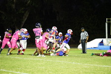 Enlarge photo 175