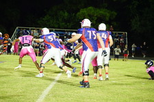 Enlarge photo 238