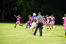 Enlarge photo 243