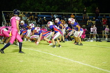 Enlarge photo 290