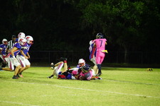 Enlarge photo 305