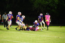 Enlarge photo 306