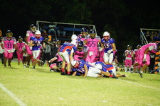 Enlarge photo 313