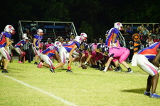 Enlarge photo 316