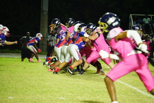 Enlarge photo 319