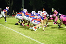 Enlarge photo 354