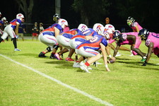 Enlarge photo 355