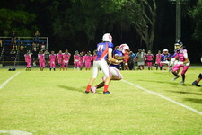 Enlarge photo 362
