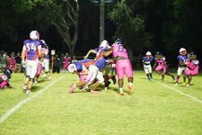 Enlarge photo 383