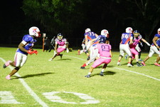 Enlarge photo 421