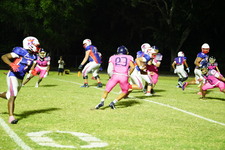 Enlarge photo 422