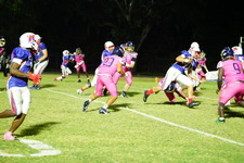 Enlarge photo 424