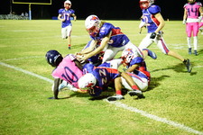 Enlarge photo 446