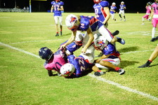 Enlarge photo 447