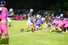 Enlarge photo 455