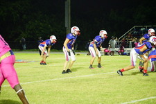Enlarge photo 462