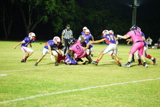 Enlarge photo 468
